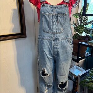 BDG Light Blue Denim Distressed Overalls